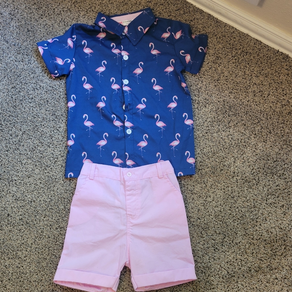 Boys Flamingo Outfit 3T